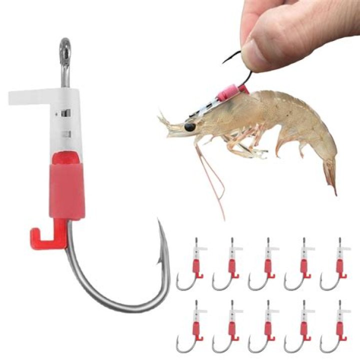 Are circle hooks good for live bait?