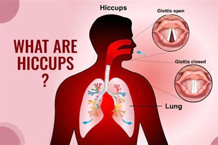 Are you growing when you get the hiccups?