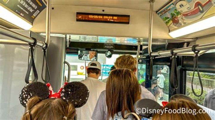 Can anyone ride the Disney buses?