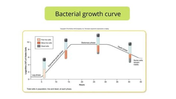 Can bacteria grow in dip powder?