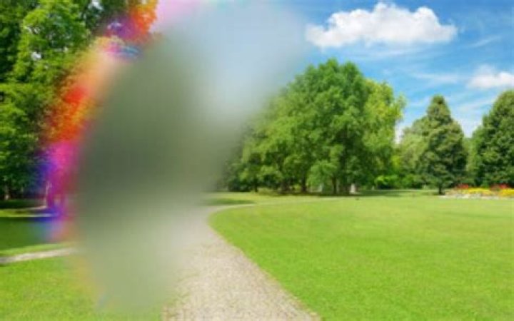 Can bees see auras?