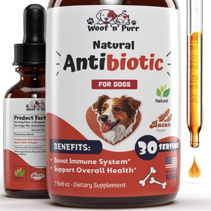 Can I buy antibiotics for my dog?
