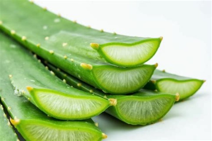 Can I eat aloe vera?
