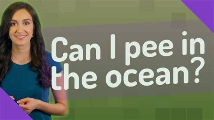 Can I pee in the ocean?