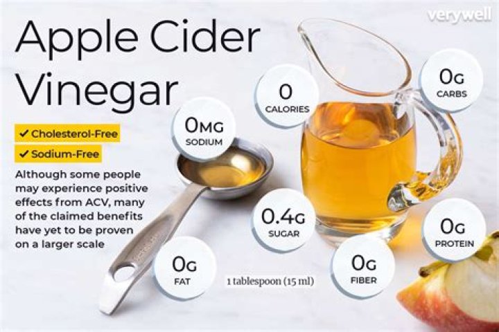 Can I put vinegar in my well?