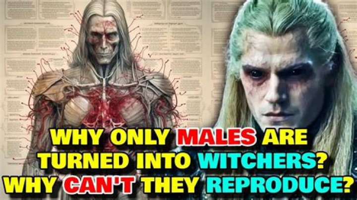 Can only humans become Witchers?