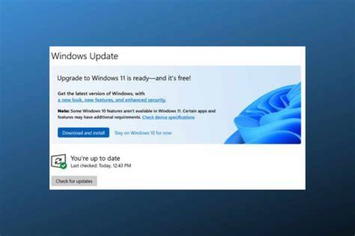 Can Windows 10 Pro be upgraded to Windows 11 pro?