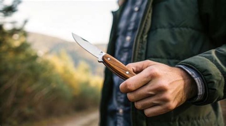 Can you carry a pocket knife in Disney World?