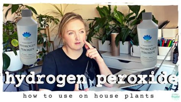 Can you put hydrogen peroxide on eczema?