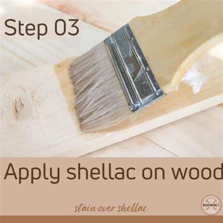 Can you shellac over painted wood?