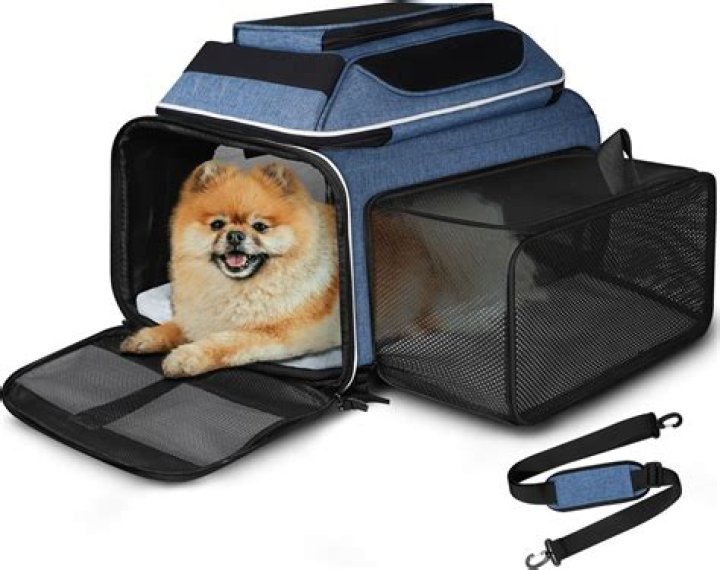 Can you take a pet carrier in an Uber?