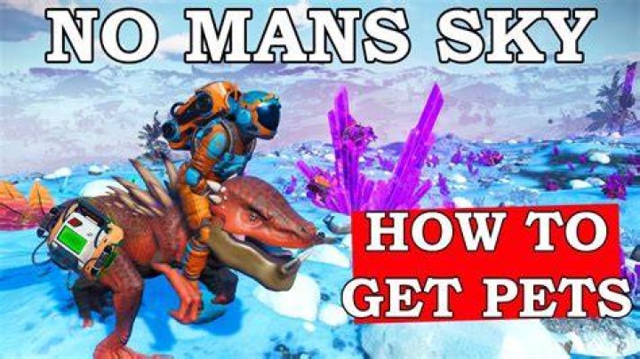 Can you tame any creature in NMS?