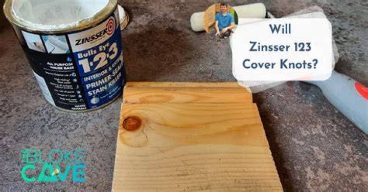 Can you use Zinsser 123 on wood?