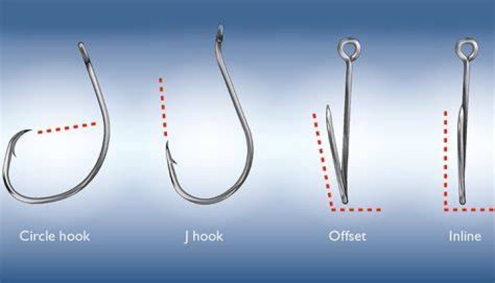 Do circle hooks dissolve?