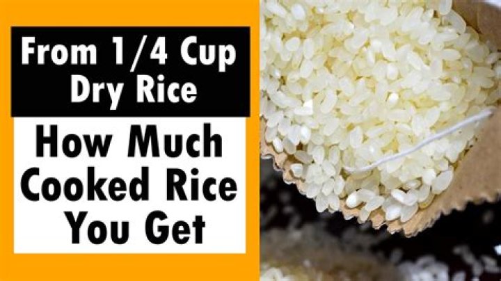 Do cockroaches like uncooked rice?