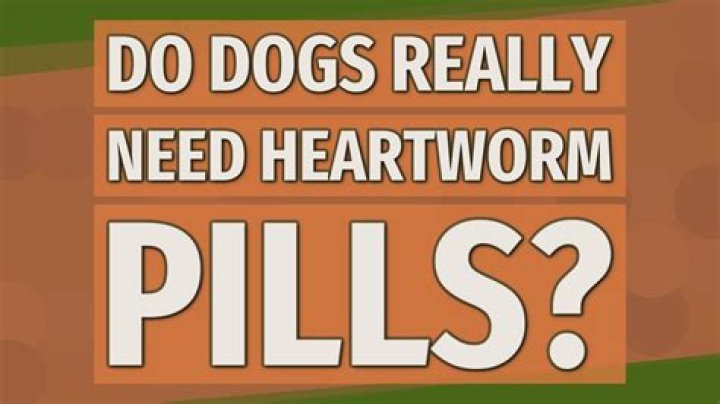 Do dogs really need heartworm pills?