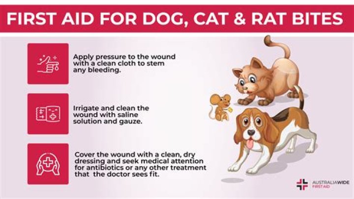 Do I need a tetanus if my puppy bites me?