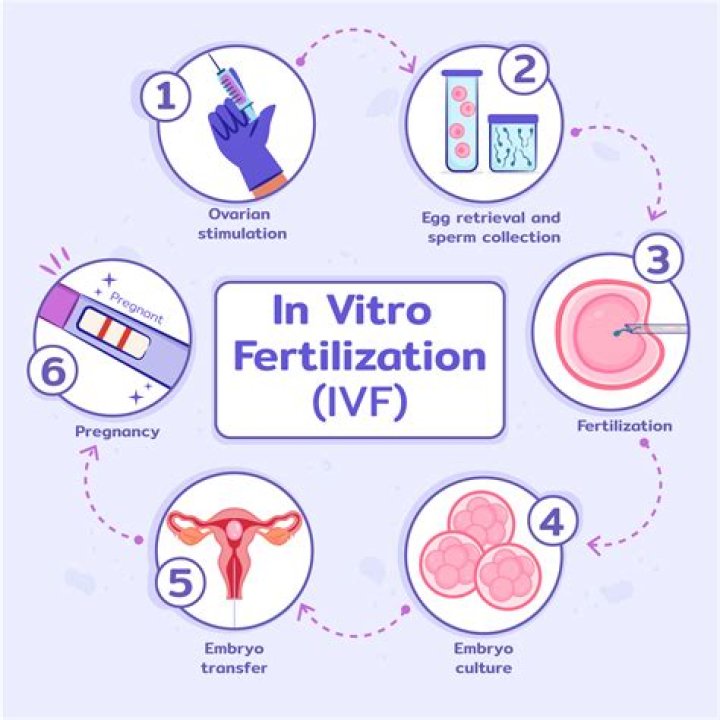 Do IVF babies come on time?
