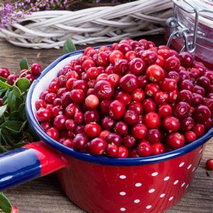 Do lingonberries taste like red currants?