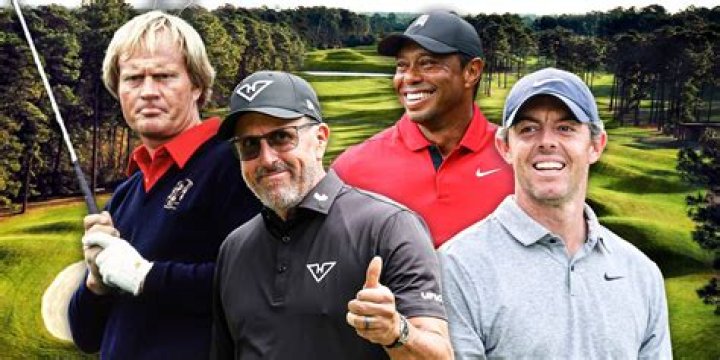 Do pro golfers hover the club?