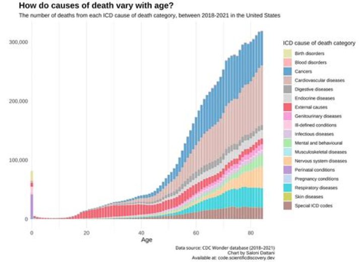 Do rats understand death?