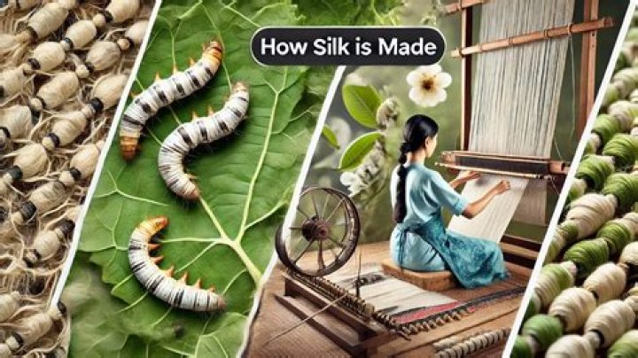 Does all silk come from silkworms?