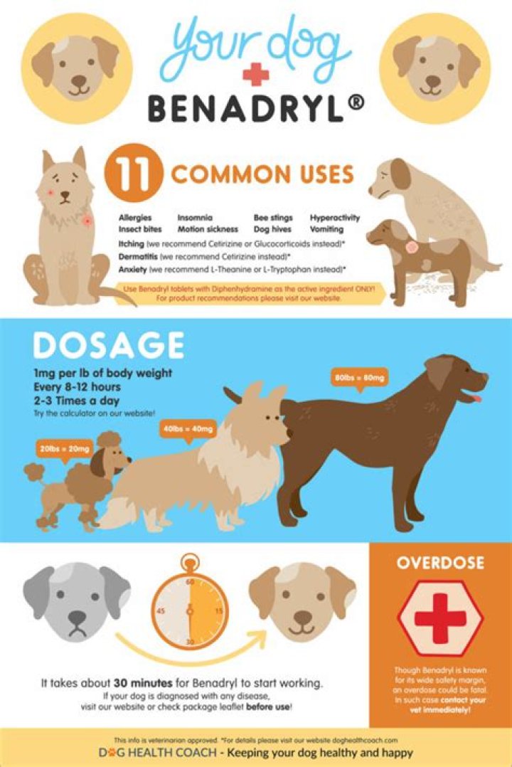 Does Benadryl help dogs with dermatitis?