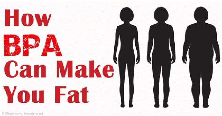 Does BPA cause obesity?