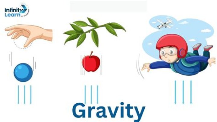 Does gravity affect all objects equally?