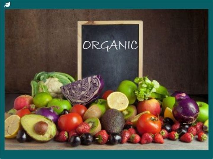 Does organic mean high welfare?