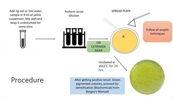 Does Pseudomonas require isolation?
