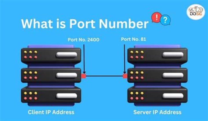 How do I find my port number for Reolink?