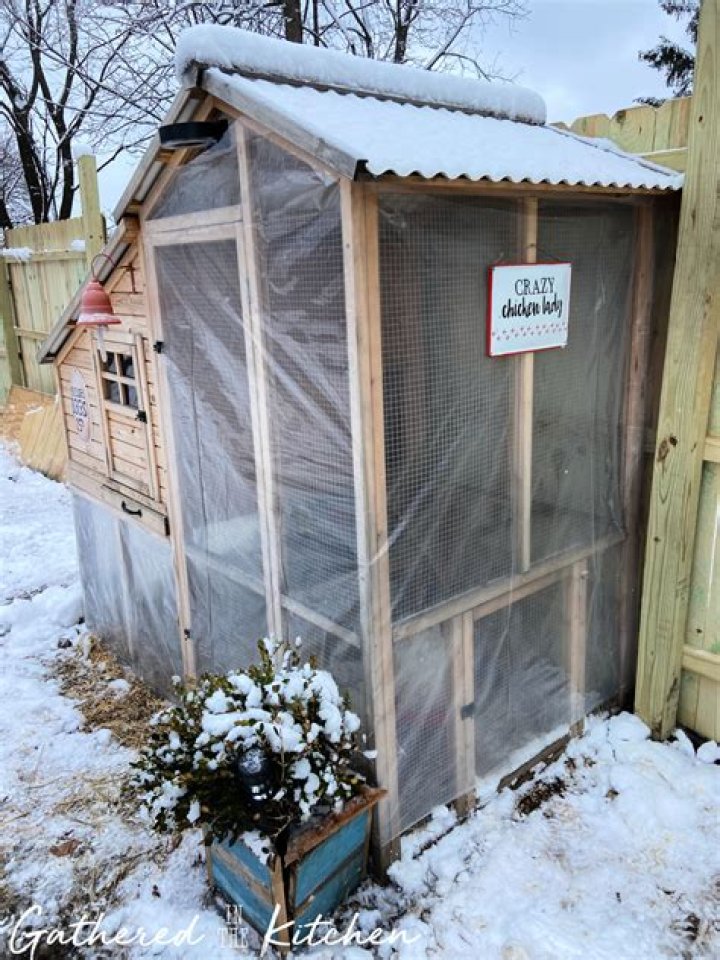 How do you insulate a chicken coop for the winter?
