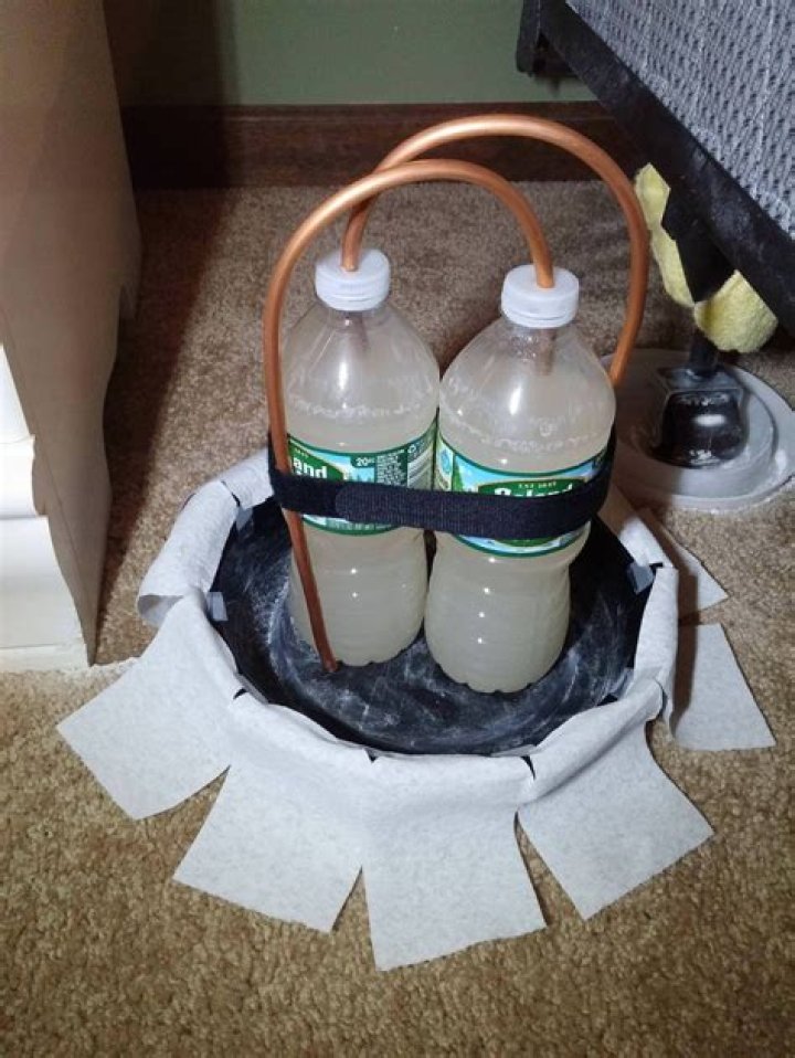 How do you make CO2 for bed bugs?