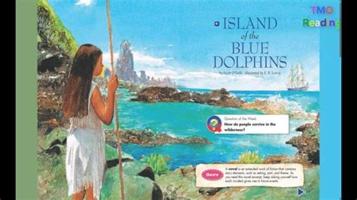 How long did Karana live on the island alone?