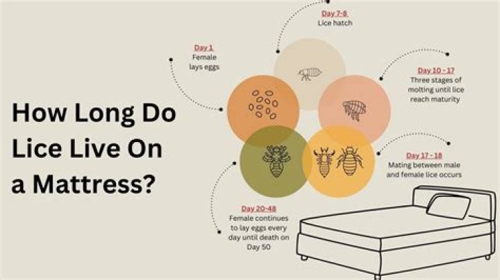 How long do body lice live on mattress?