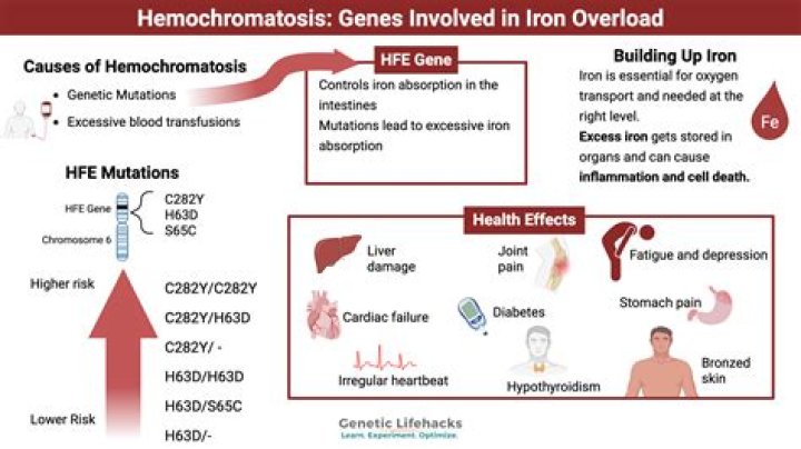 How long does it take for hemochromatosis to cause liver damage?