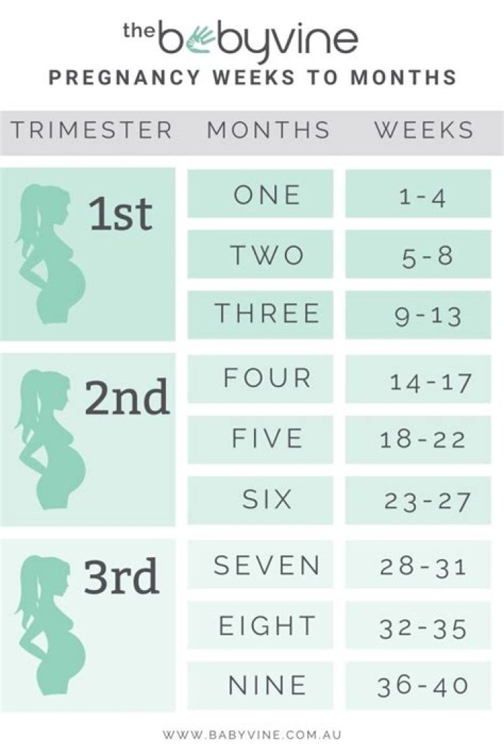 How many months is 9 weeks pregnant?