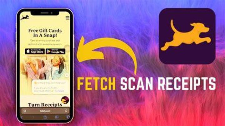 How many receipts were scanned on fetch in February?