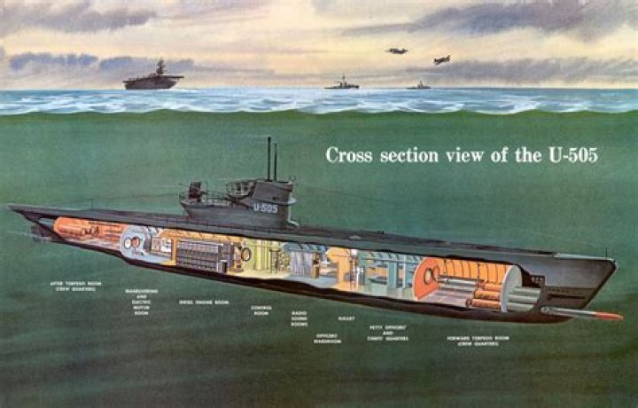 How many ships did the German U-boats sink?