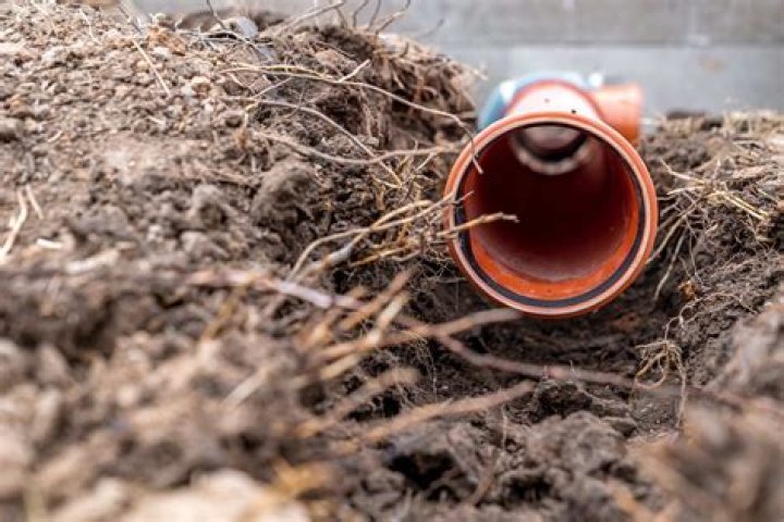 How much does it cost to get roots out of pipes?