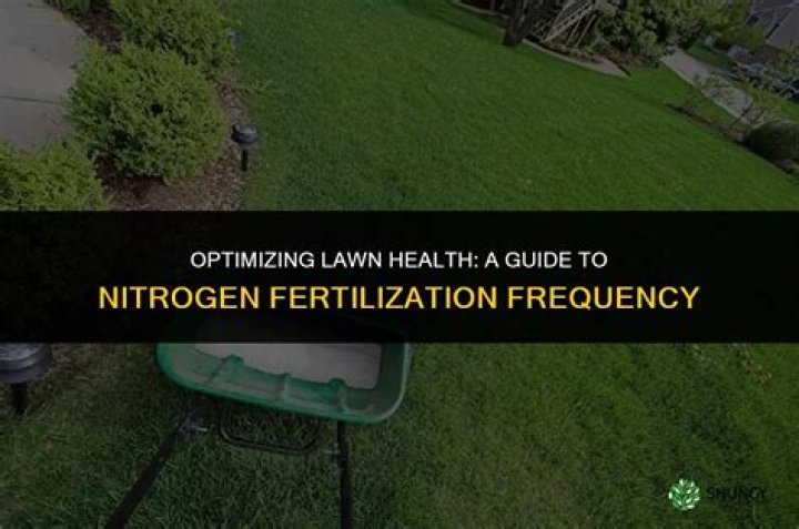 How often can you put nitrogen on grass?