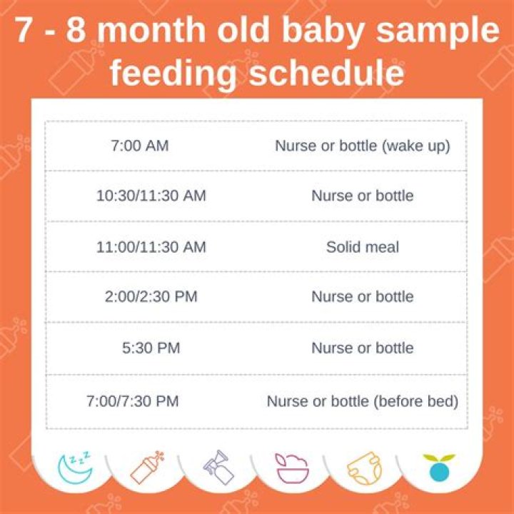 How often should a 7 month old breastfeed?