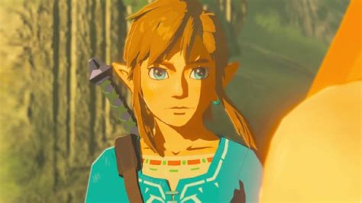 How old is Botw?