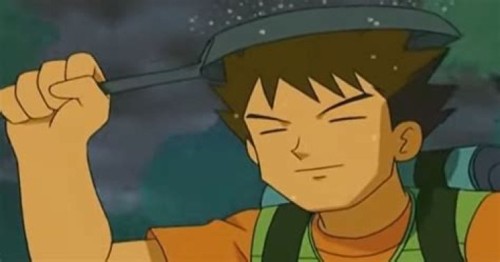 Is Brock black Pokémon?