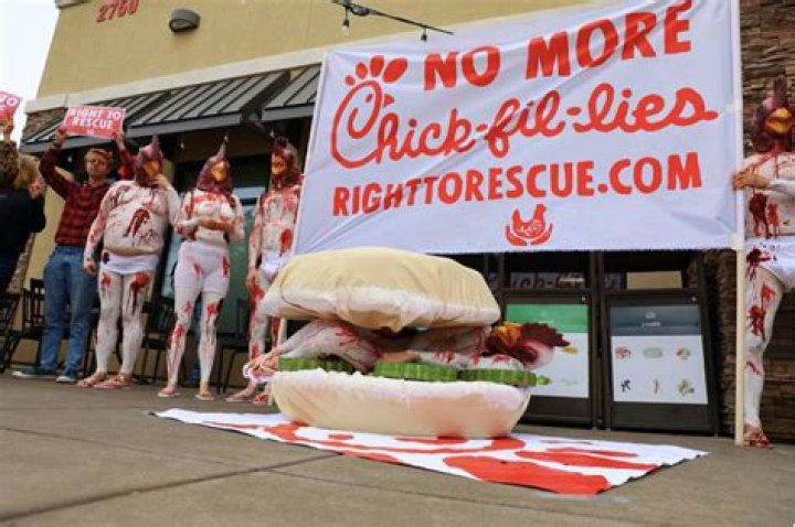 Is Chick-fil-A chicken humane?
