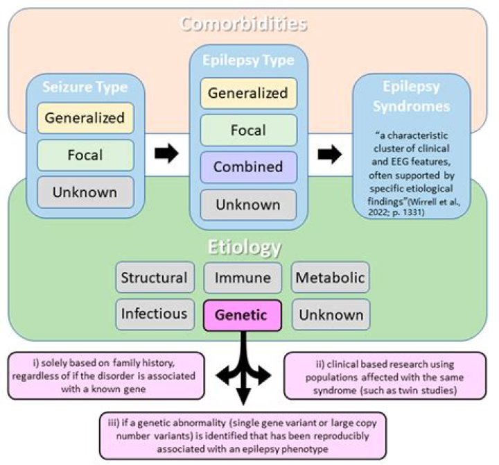Is epilepsy a comorbidity for COVID-19?