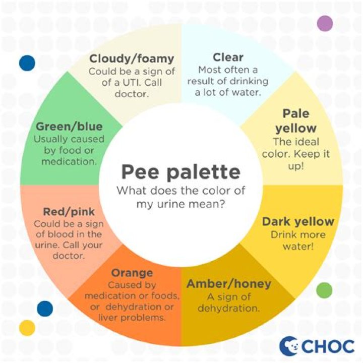 Is it OK to pee once a day?