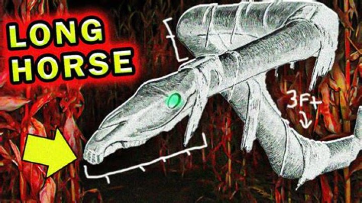 Is long horse a good guy?