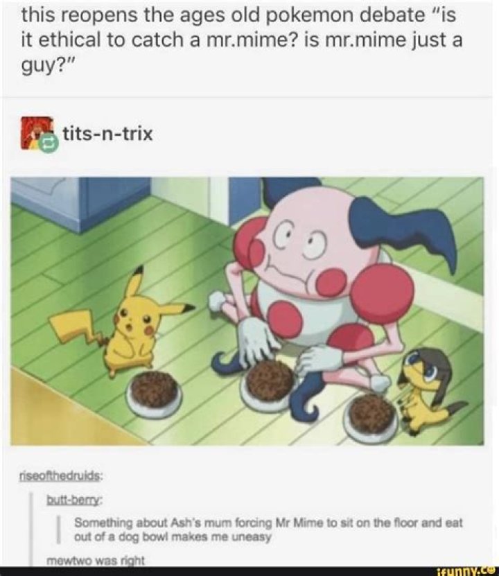 Is Mr. Mime just a guy?